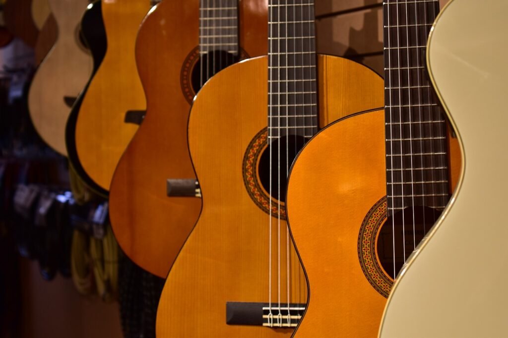 Acoustic Guitars